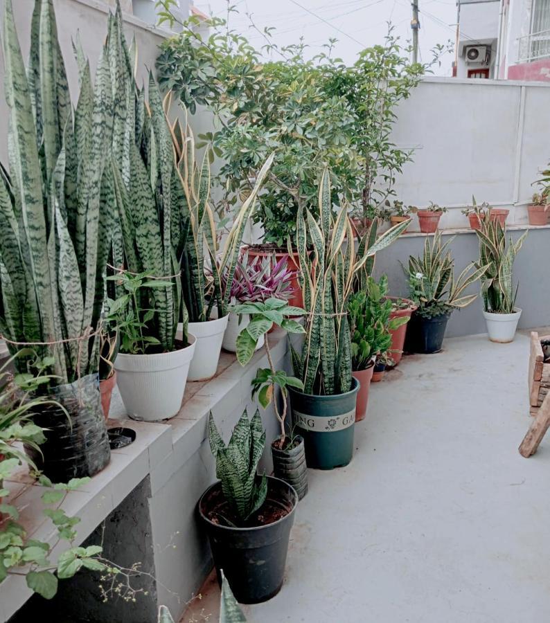 Negusta Arte E Atividades Hostel ปรายา ภายนอก รูปภาพ